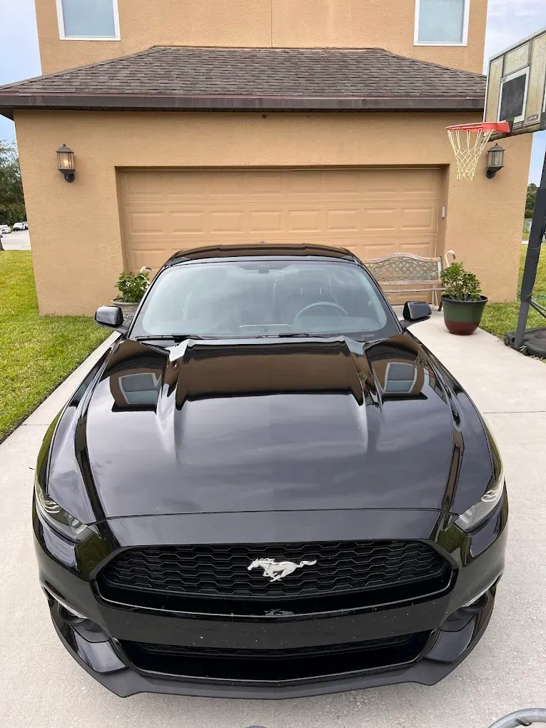 Mustang auto glass service